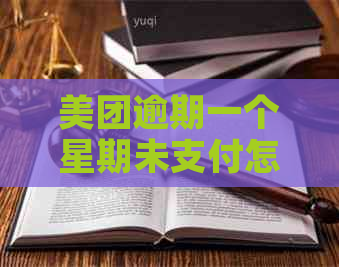 美团逾期一个星期未支付怎么办