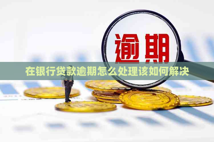 在银行贷款逾期怎么处理该如何解决