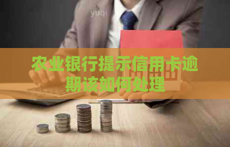 农业银行提示信用卡逾期该如何处理
