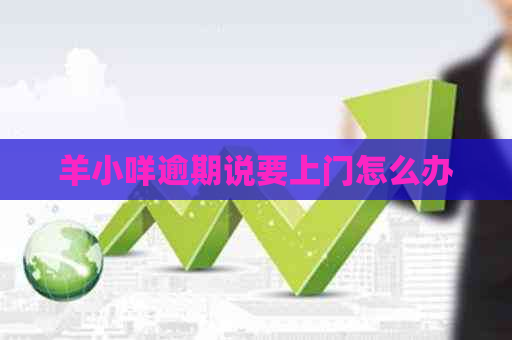 羊小咩逾期说要上门怎么办