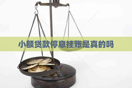 小额贷款停息挂账是真的吗