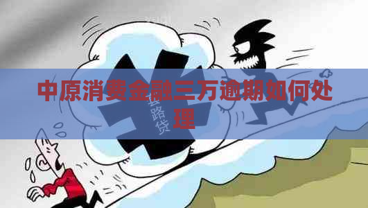 中原消费金融三万逾期如何处理