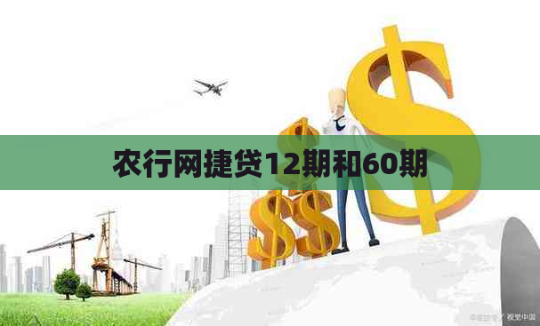 农行网捷贷12期和60期