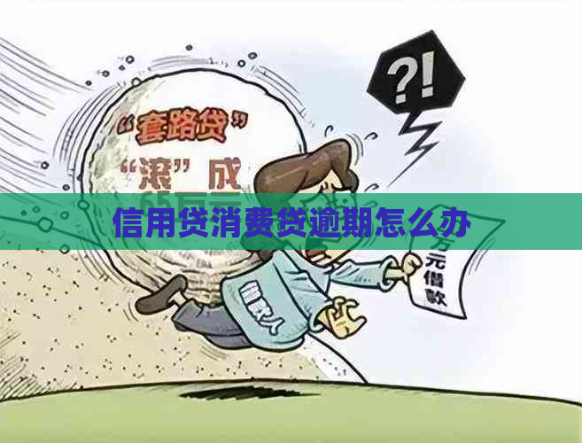 信用贷消费贷逾期怎么办
