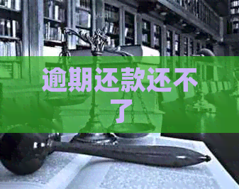 逾期还款还不了