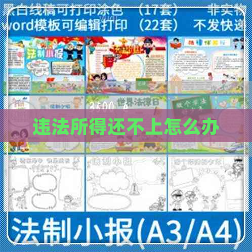 违法所得还不上怎么办