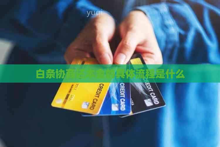 白条协商还本金的具体流程是什么