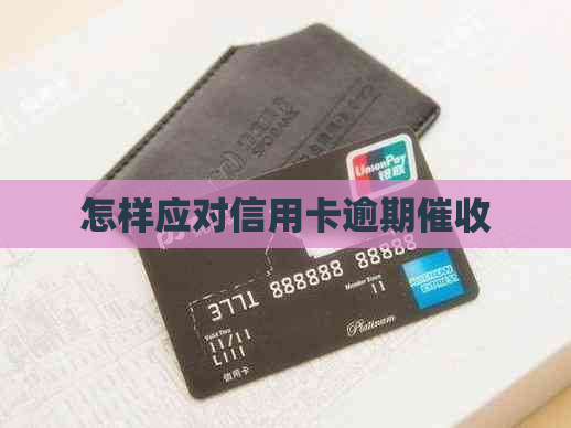 怎样应对信用卡逾期