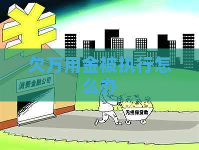 欠万用金被执行怎么办