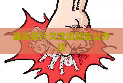 浦发银行欠款逾期怎么办理