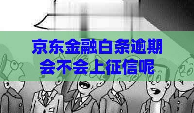 京东金融白条逾期会不会上呢