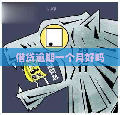 借贷逾期一个月好吗