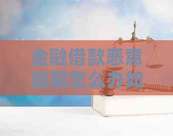 金融借款恶意逾期怎么办如何解决