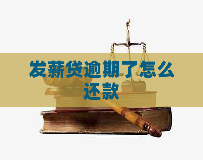 发薪贷逾期了怎么还款