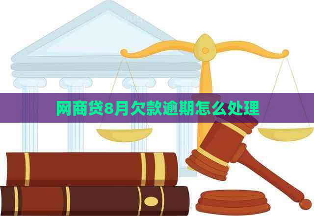 白条贷8月欠款逾期怎么处理