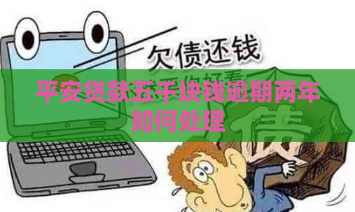 平安贷款五千块钱逾期两年如何处理