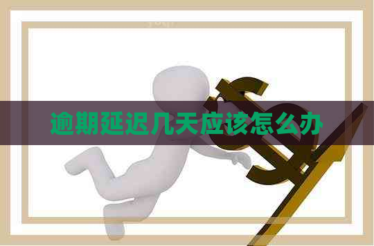 逾期延迟几天应该怎么办
