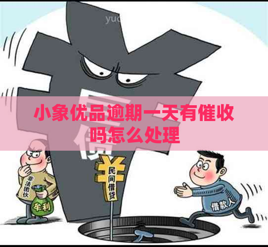 小象优品逾期一天有吗怎么处理