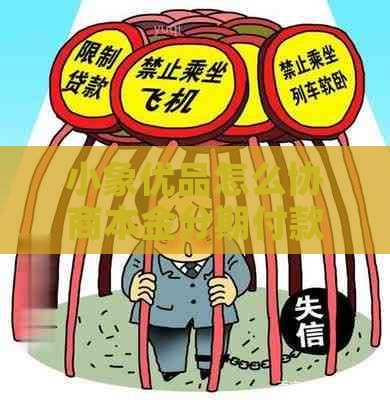 小象优品怎么协商本金分期付款条件