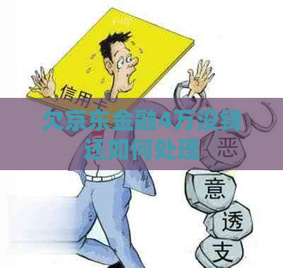 欠京东金融4万没钱还如何处理
