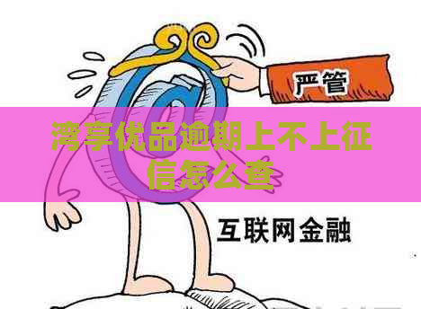 湾享优品逾期上不上怎么查