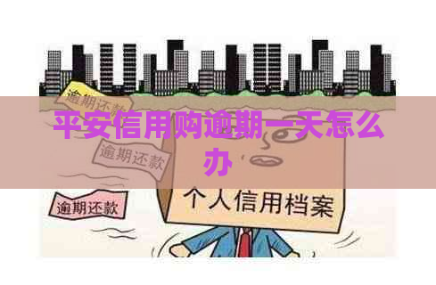 平安信用购逾期一天怎么办