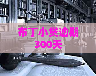 布丁小贷逾期300天