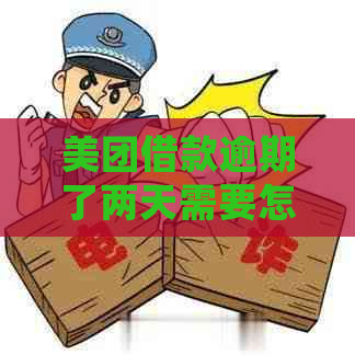 美团借款逾期了两天需要怎么处理