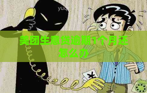 美团生意贷逾期1个月还怎么办