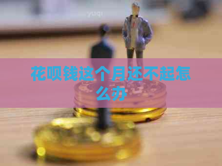 花呗钱这个月还不起怎么办