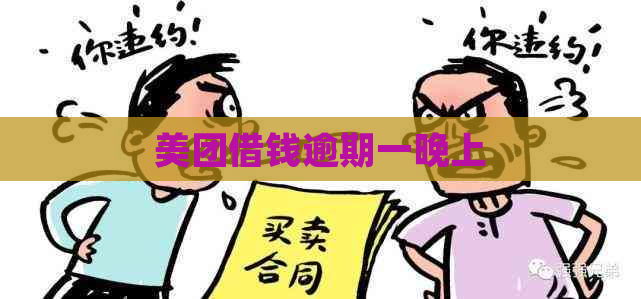 美团借钱逾期一晚上