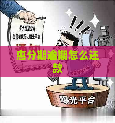 惠分期逾期怎么还款