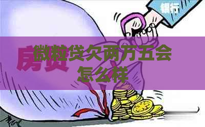 微粒贷欠两万五会怎么样