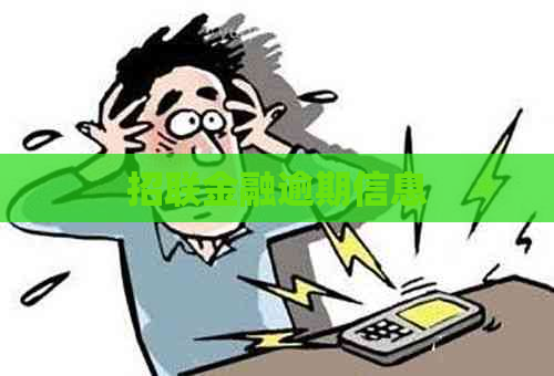 招联金融逾期信息