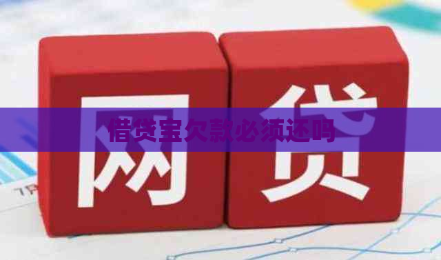 借贷宝欠款必须还吗