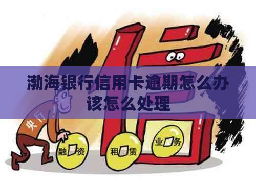 渤海银行信用卡逾期怎么办该怎么处理