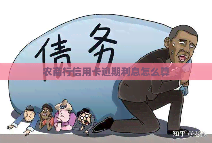 农商行信用卡逾期利息怎么算