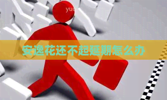 安逸花还不起延期怎么办