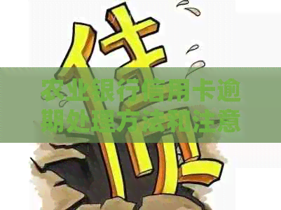 农业银行信用卡逾期处理方法和注意事项