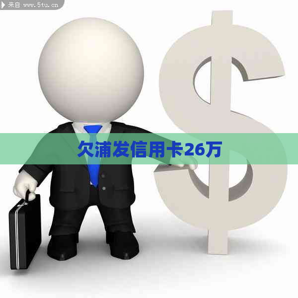 欠浦发信用卡26万