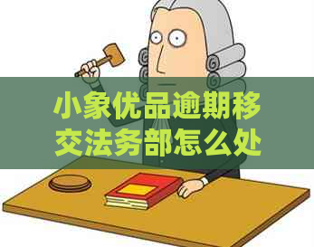 小象优品逾期移交法务部怎么处理