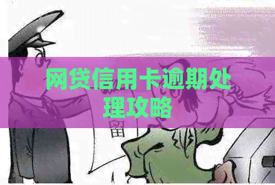 网贷信用卡逾期处理攻略