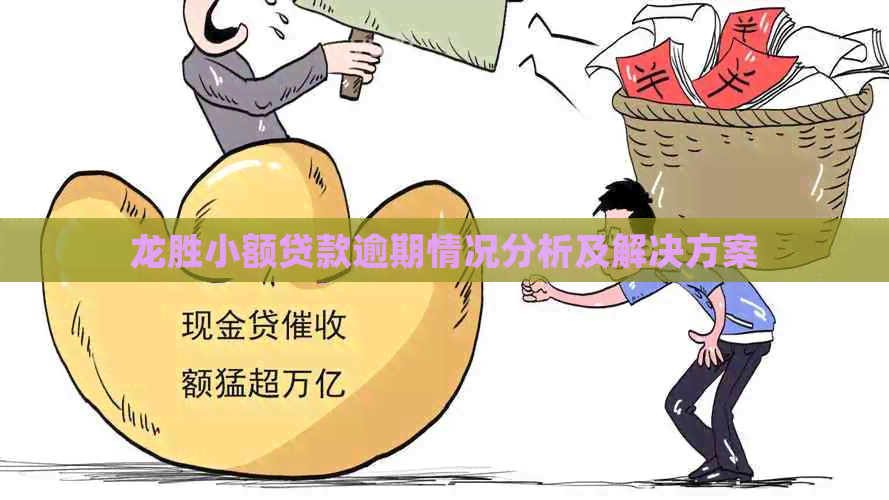 龙胜小额贷款逾期情况分析及解决方案