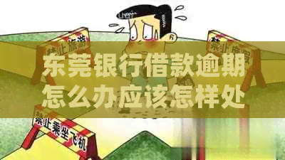东莞银行借款逾期怎么办应该怎样处理