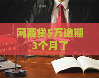 白条贷5万逾期3个月了