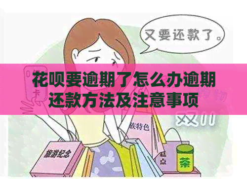 白条要逾期了怎么办逾期还款方法及注意事项