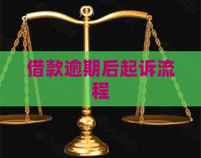 借款逾期后起诉流程