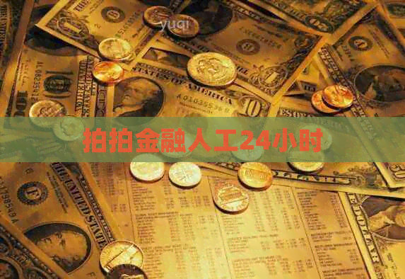 拍拍金融人工24小时