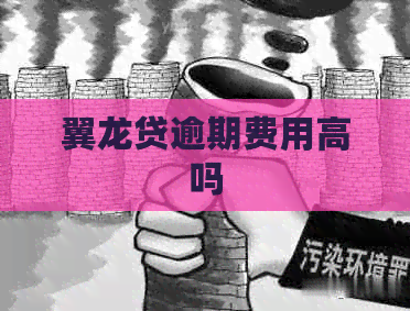 翼龙贷逾期费用高吗