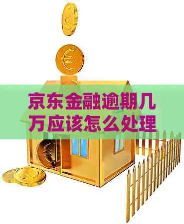 京东金融逾期几万应该怎么处理